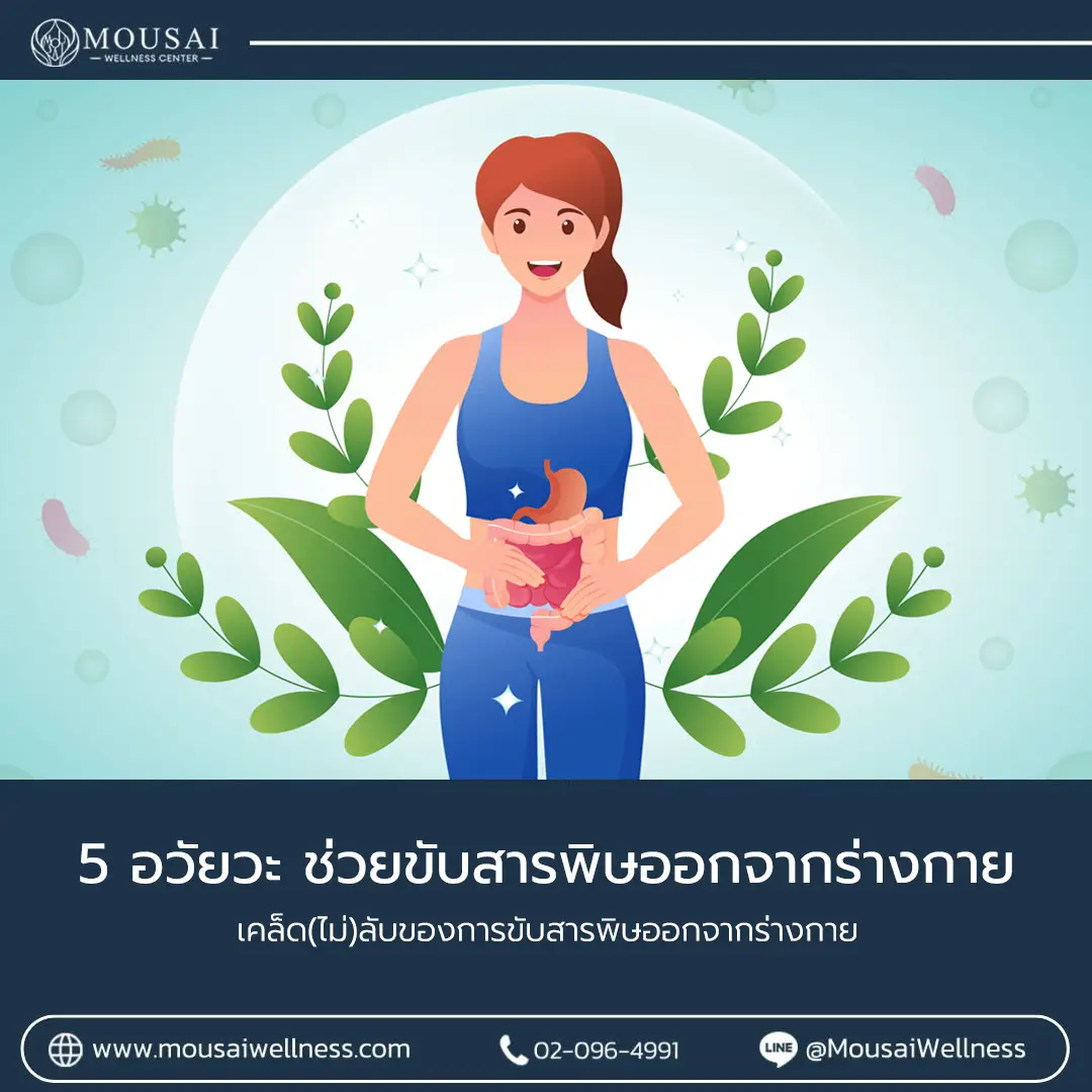 5 อวัยวะ ช่วยขับสารพิษออกจากร่างกาย