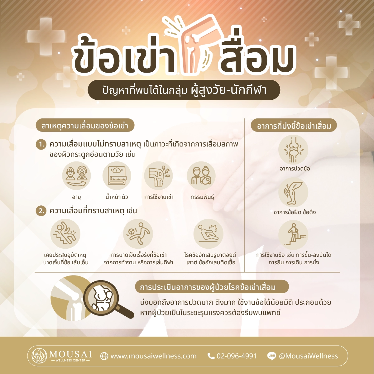 โปรแกรมตรวจสุขภาพเข่า Plasma-สงสัยว่าเป็นข้อเข่าเสื่อม ลุกก็โอ๊ย นั่งก็โอ๊ย ไม่ใช่อาการที่จะเป็นเฉพาะผู้สูงอายุเท่านั้น