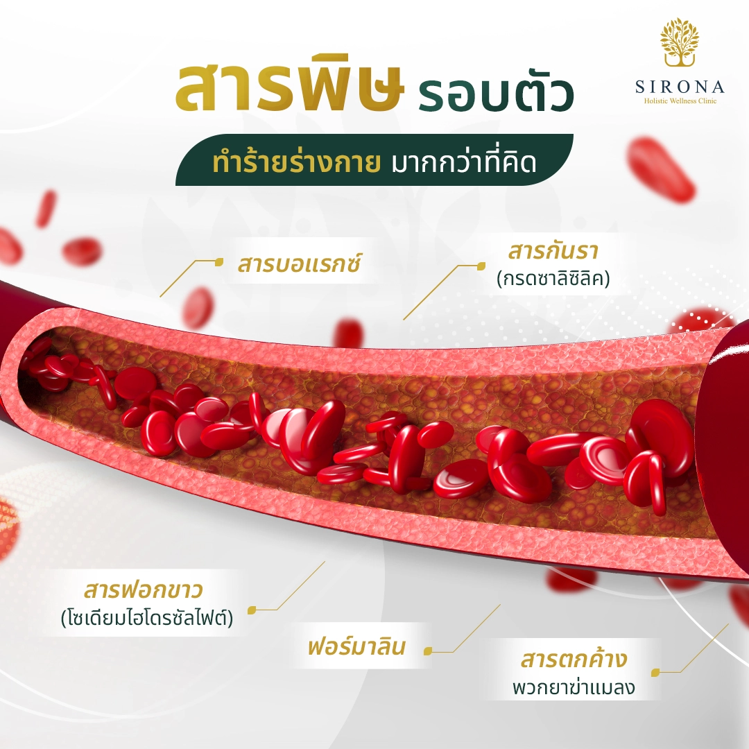 สารพิษรอบตัว ทำร้ายร่างกาย มากกว่าที่คิด