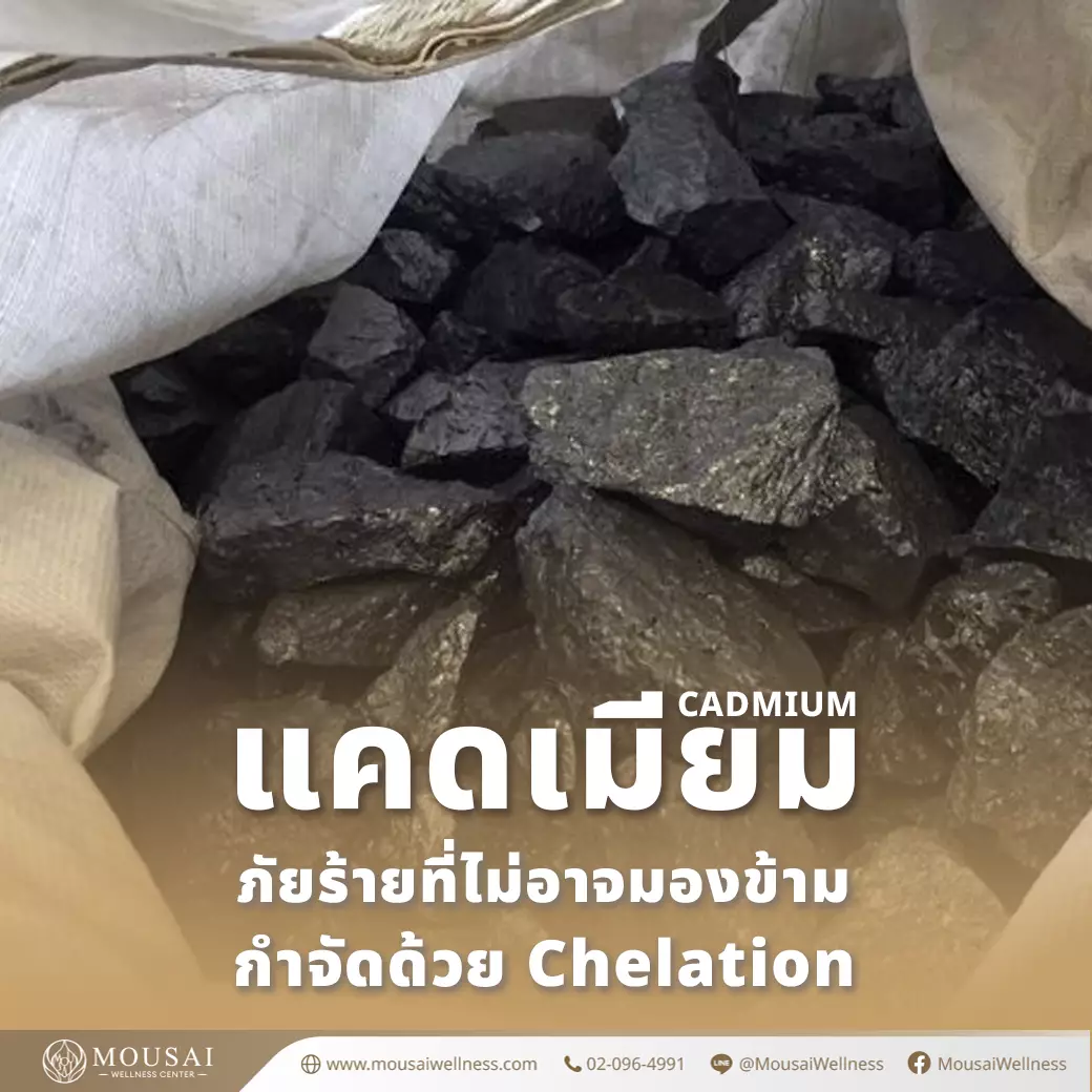 🚨 Cadmium ภัยร้ายที่ไม่อาจมองข้าม กำจัดด้วย Chelation ทางรอดของคุณ! 🚨
