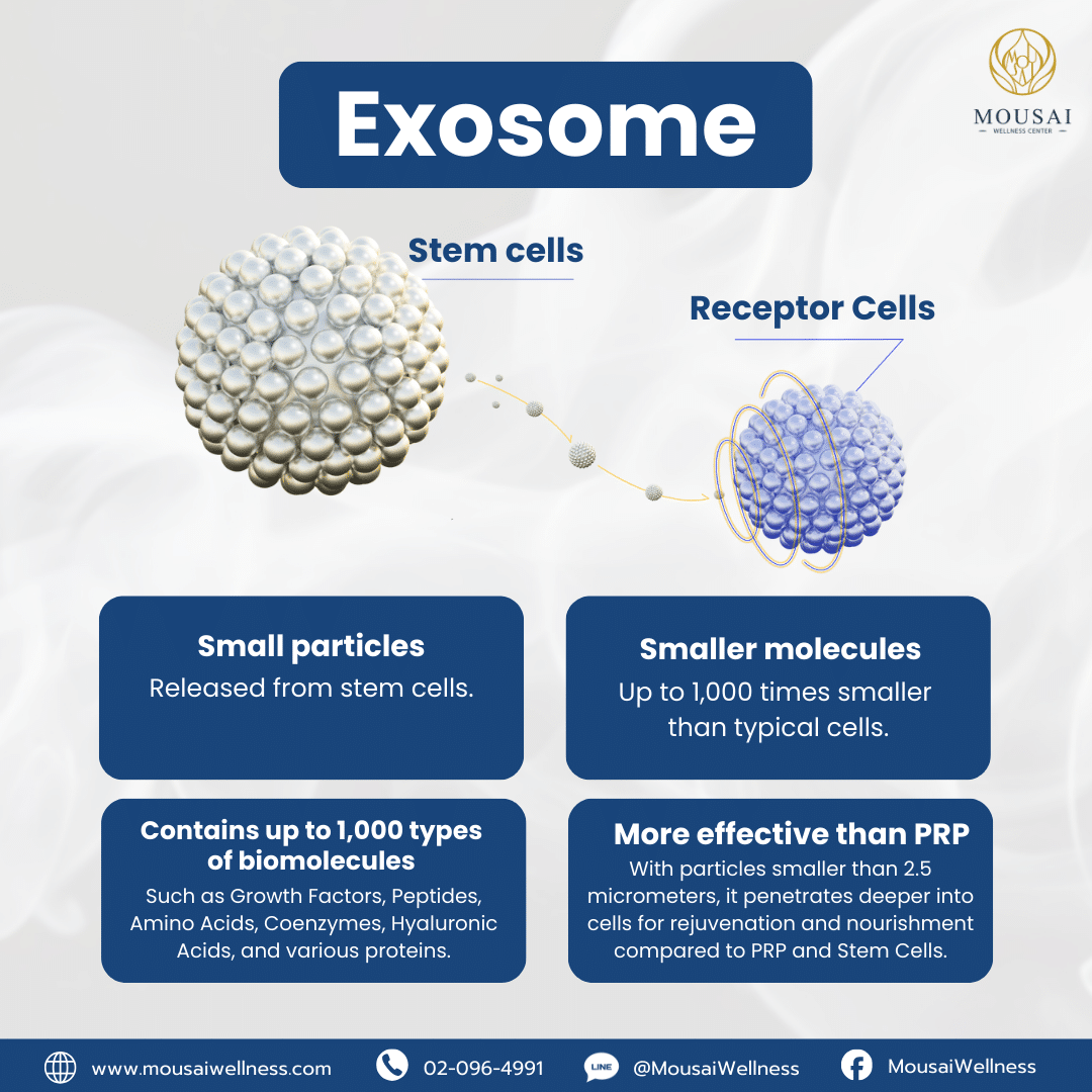 Exosome