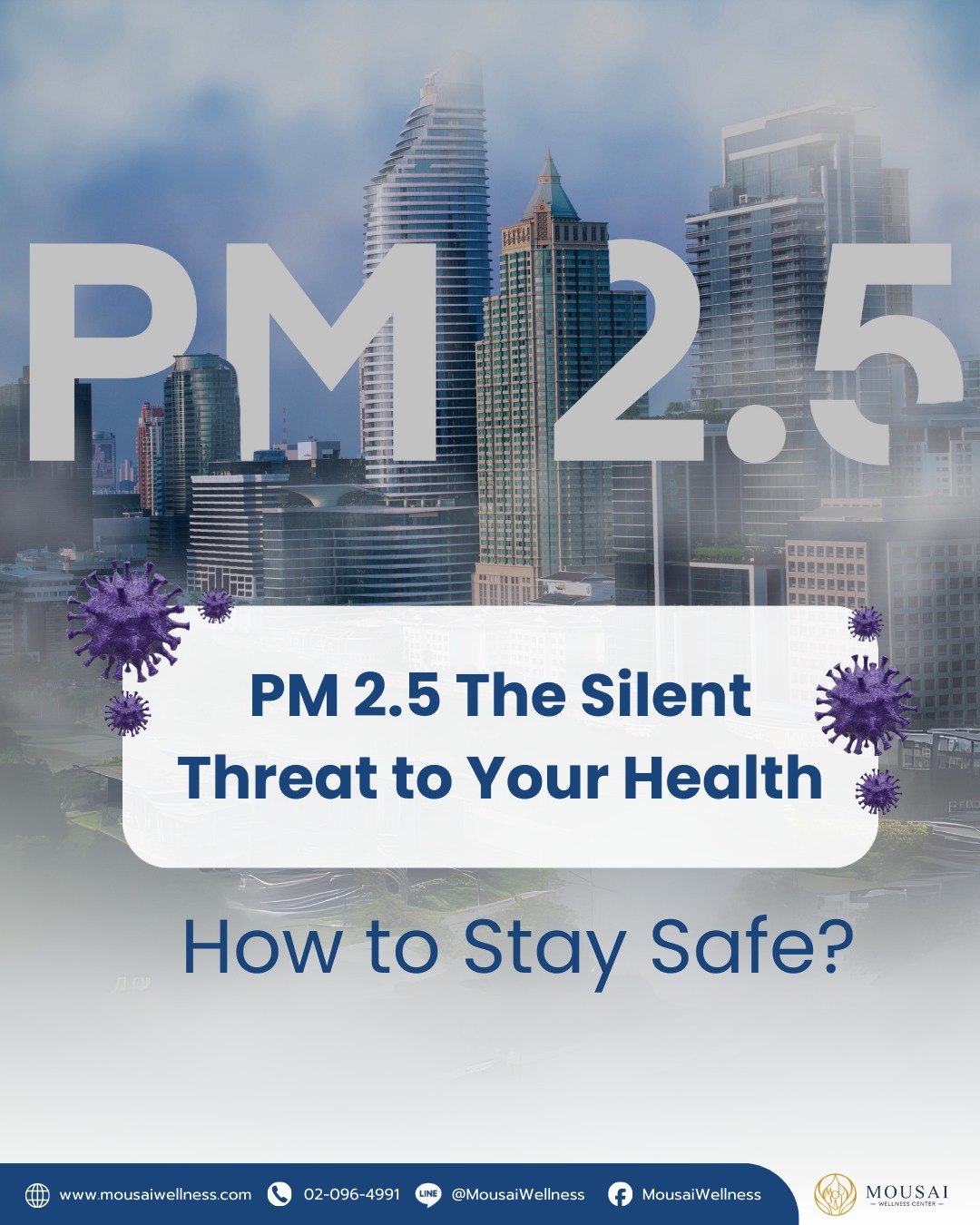 Silent Kller in the Air : Protecting Yourself from PM 2.5