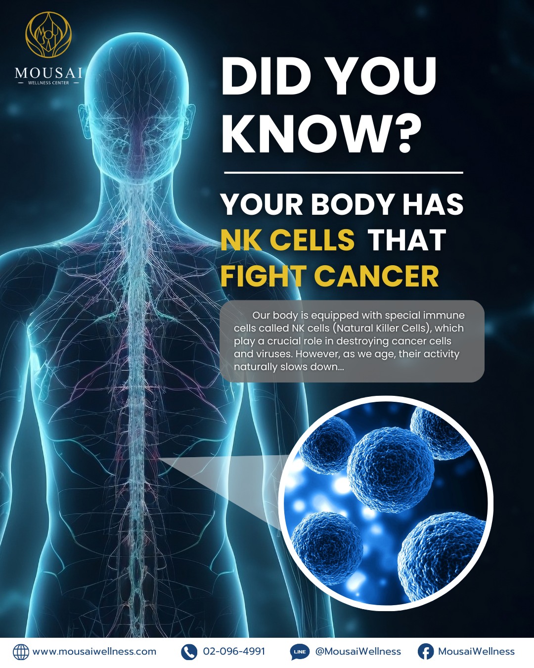 Are your NK Cells still active enough to fight cancer and viruses?