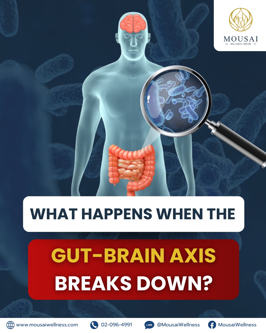 What happens when your gut–brain axis breaks down?