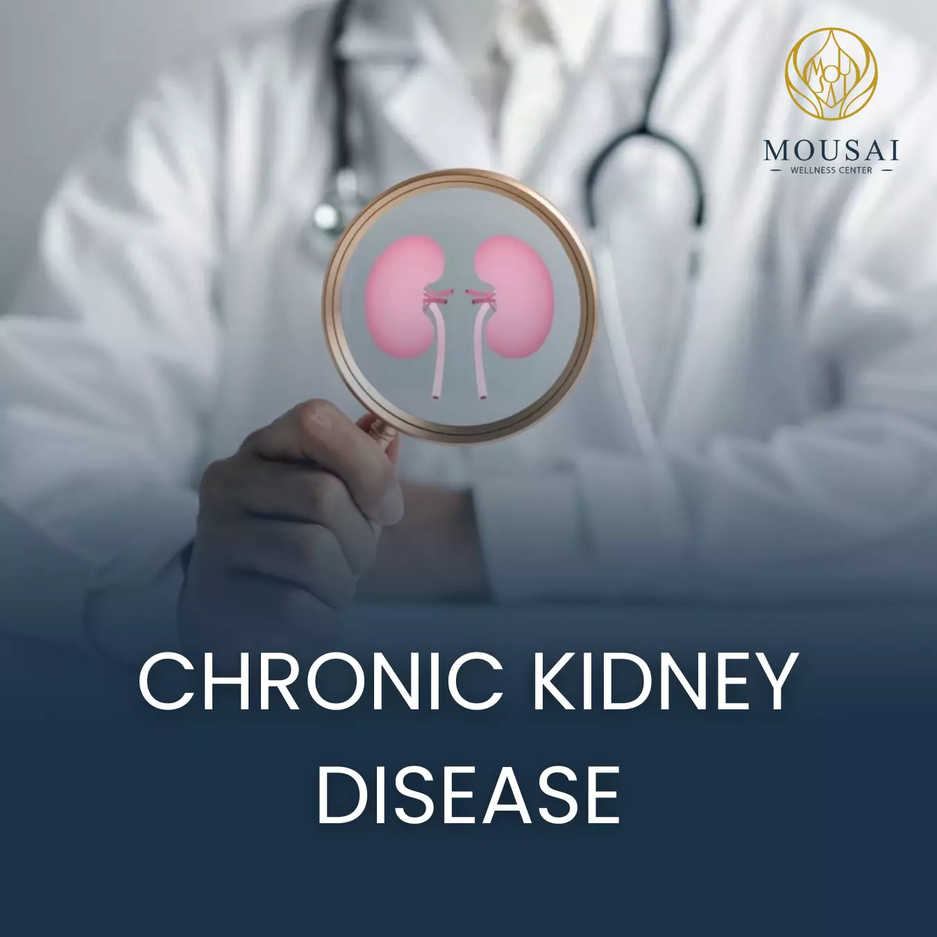 4 Chronic Kidney Disease