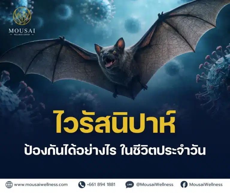 How Can We Prevent Nipah Virus in Daily Life?
