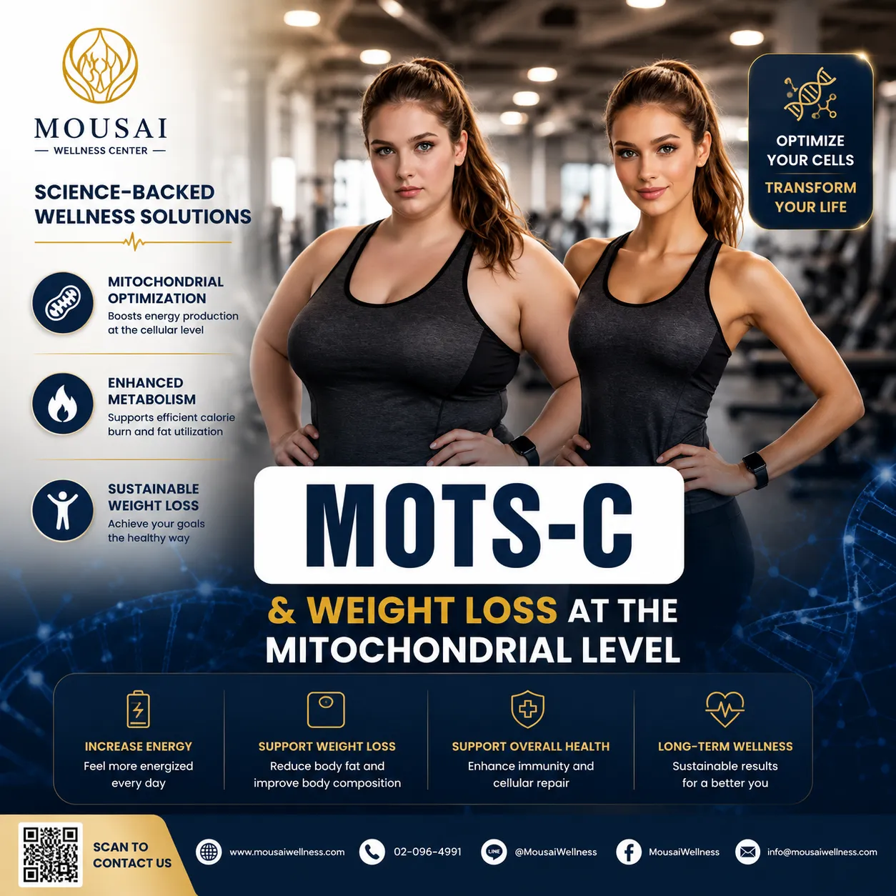 MOTS-C & WEIGHT LOSS AT THE MITOCHONDRIAL LEVEL